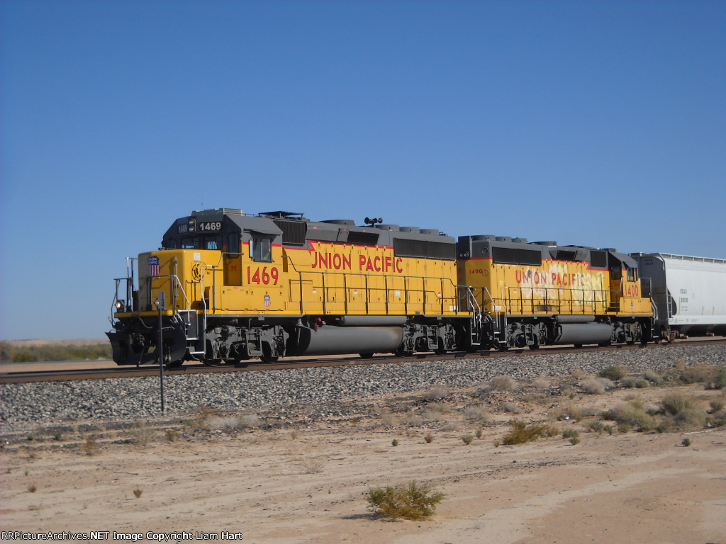 The local wants to play too